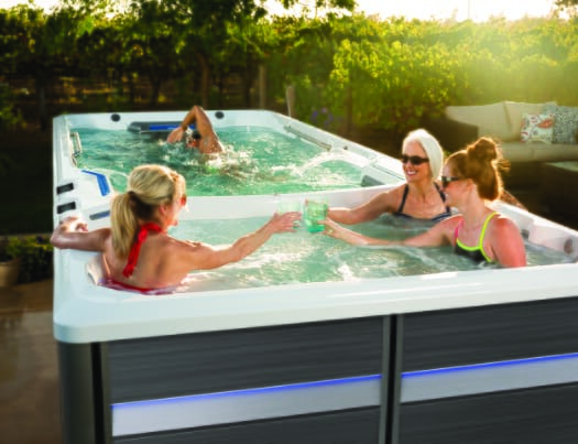 endless pools e2000 dual temperature swim spa