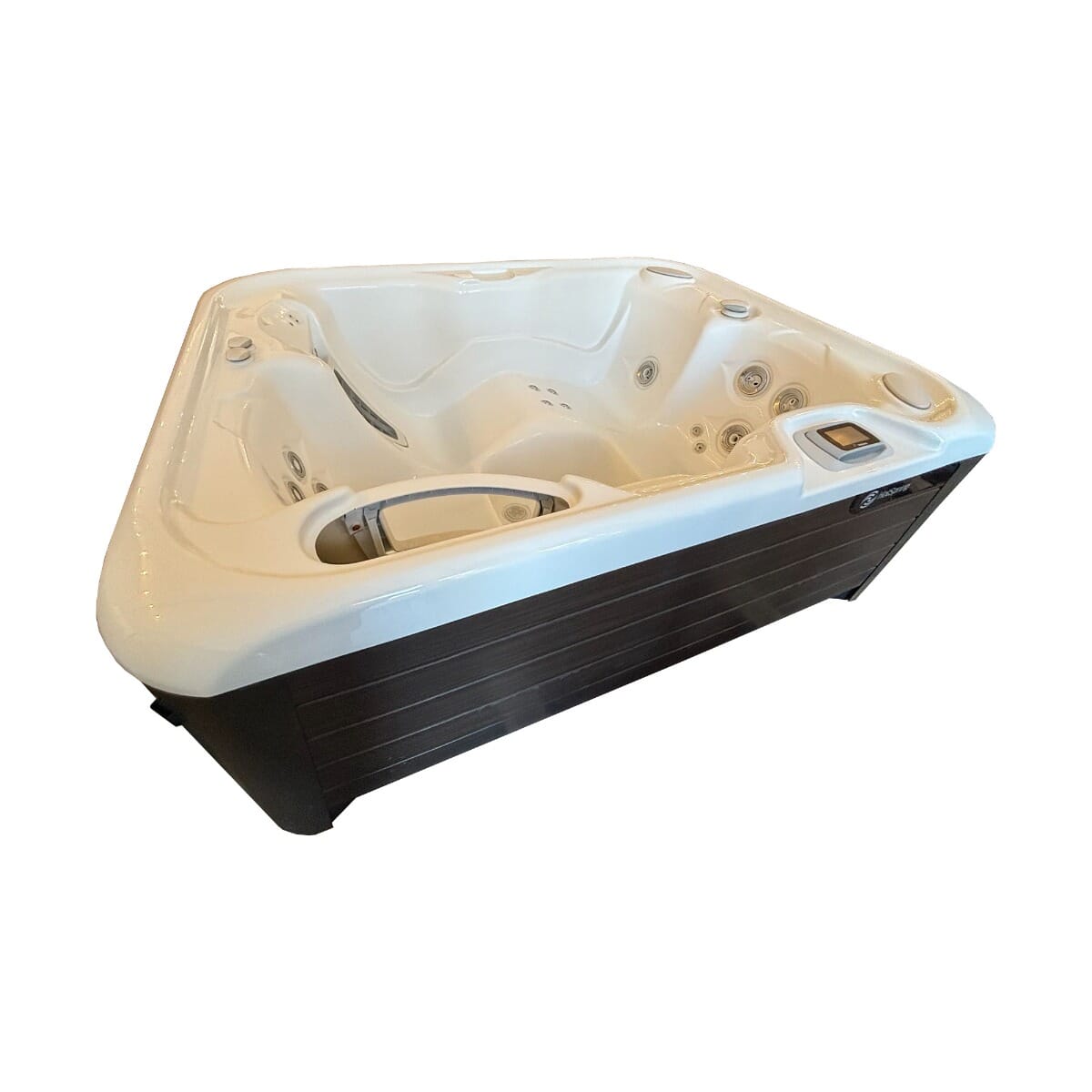 pre owned Hot Spring Jetsetter LX hot tub